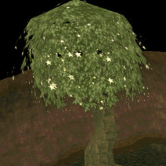 magic tree