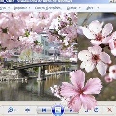 афтерпатиии w/VersaceMjTripper