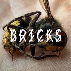 Somewhen, Bibi Bourelly - Bricks