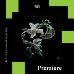 PREMIERE: Timelapse - Moment [Automatik]