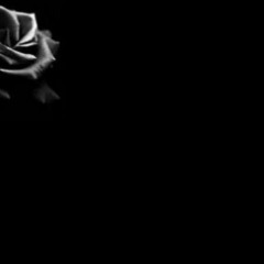 Life of Disguises (POC)