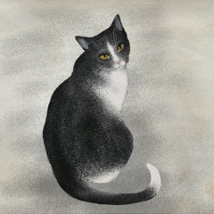 고양이(시인과 촌장)
