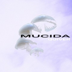 Quiver - Mucida (Free Download)