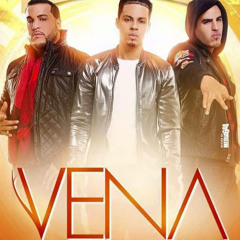 DJ Joao 8a MIX GRUPO VENA 2025 ❤️😭