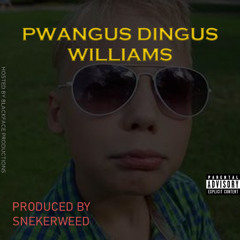 Pwangus Dingus Williams - Simple (feat. SNEKERWEED)