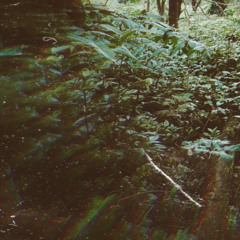 dit:eau - echoes in the rain