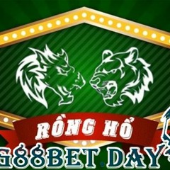 Hạn chế xuống tiền cho cửa hòa