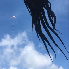 there is no such thing as angelwave