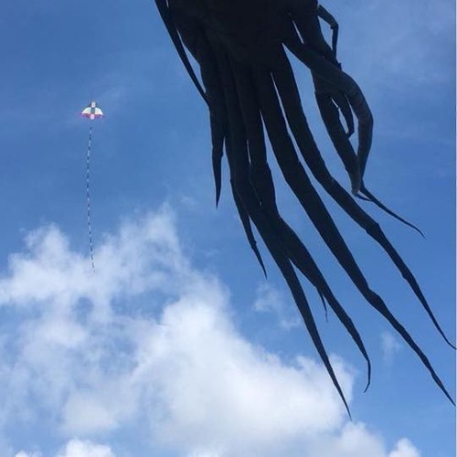 there is no such thing as angelwave