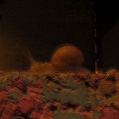 Lbucle del cansancio