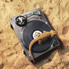 Desert Storm