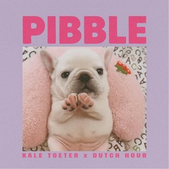 PIBBLE (Hard Techno Edit)