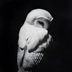 V0IDR - syxxsec (Unreleased)