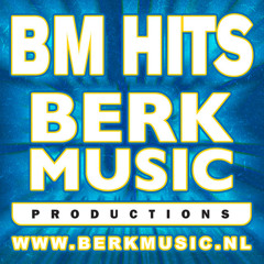 Berk Music Hits