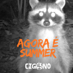 TECHNO SET - AGORA É SUMMER