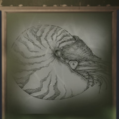 Distant Nautilus