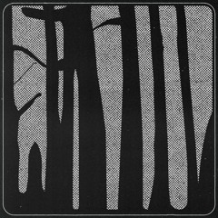 Acote - Bo Tie