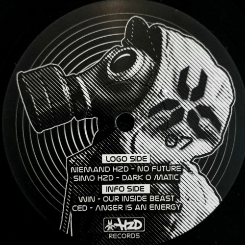 ANGER IS AN ENERGY [HZD07]