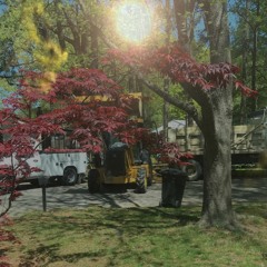 Retrograde Amnesia-Garden of Eden