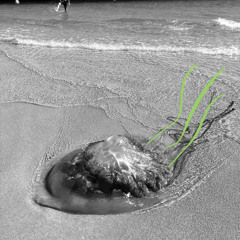 Breakfast Club Bombz