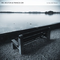 Wil Bolton & Francis Gri - Shrouded In Fog