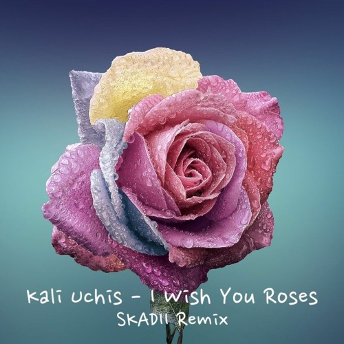 Stream Kali Uchis I Wish You Roses (SKADII Remix) by SKADII Listen