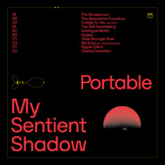 Exclusive Premiere: Portable "The Simulacrum" (Forthcoming on Circus Company)