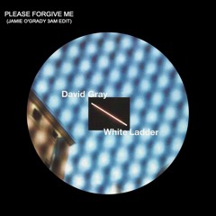 David Gray - Please Forgive Me (Jamie O'Grady 3am Edit)