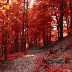 Scarlet Forest Remix