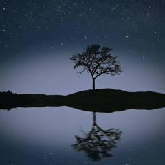 night peace