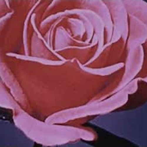 current joys - blondie (slowed down)