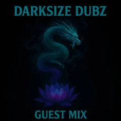 DARKSIZE DUBZ - GUEST MIX [₦Ø ₮ⱤɆ฿ⱠɆ ₵ØⱠⱠɆ₵₮łVɆ]