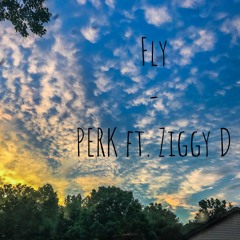 Fly - PERK ft. Ziggy D