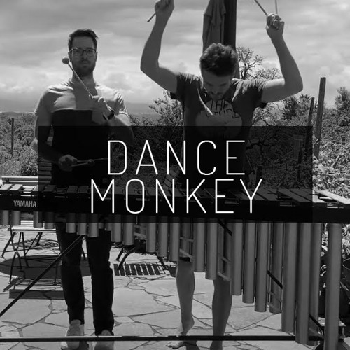 Stream Klingeltöne Dance Monkey Marimba Remix Kostenlos Downloaden by  Klingelton Mp3 | Listen online for free on SoundCloud
