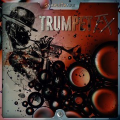 Trumpet Fx - Barbarian Trump - Julien Caraz