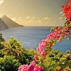 Ryebread - No Jake Breaks - Carribean Healing