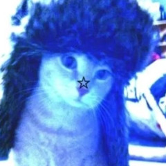 another stinking cat rave