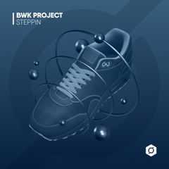 BWK Project - Steppin (DWN042)