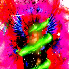 Raven In Slow Motion