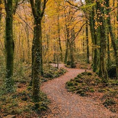 The Two Trees (SATB, cello, piano)