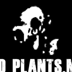 OsamaSon + Boolymon type Beat ,,Kave,, (prod.Konne07 x WK X DLS)