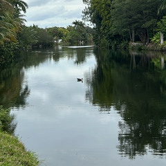 Slimesito Revenge Tyla Truth or Dare