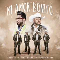 Alfonzin García x Cumbre Norteña - Mi Amor Bonito (2024)