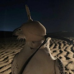 ليه لا - بندر بن عوير