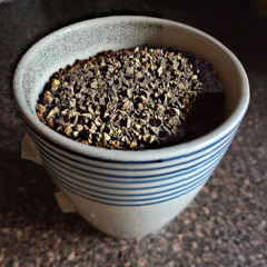 Coffee (Prod. Inciede)