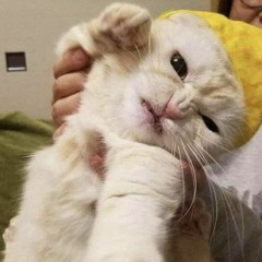 Waiting For You - MONO mix by Tuấn