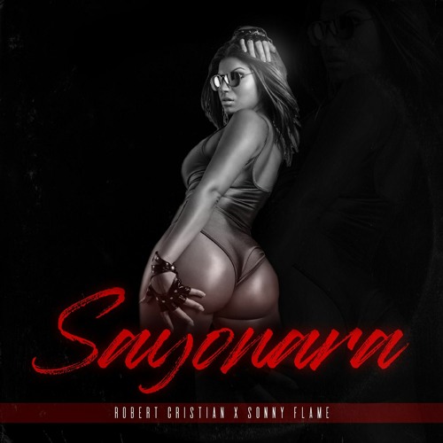 Robert Cristian & Sonny Flame - SAYONARA