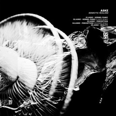 B55R037 < ASKE - SEMIOTIC REALISM < REMIXES BY VAEG AND SHHGRR < Preview