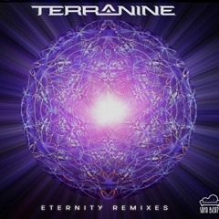 PREMIERE : Terra Nine - New Vibration  (Tripswitch Remix) [Sofa Beats]