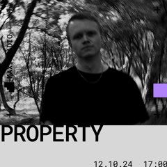 Property / 12-10-2024